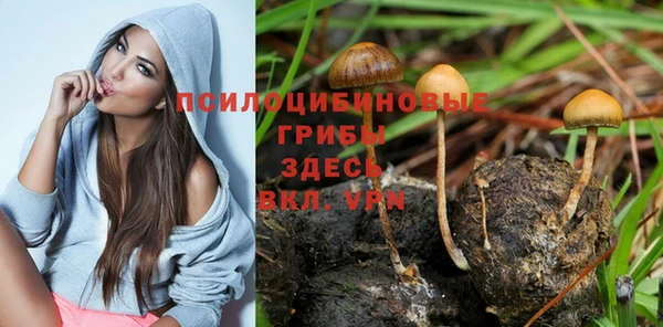 гидра Балахна