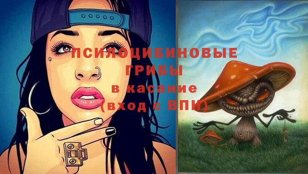 гидра Балахна