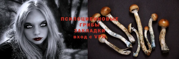 гидра Балахна