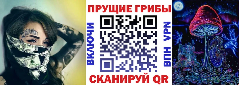 Псилоцибиновые грибы ЛСД  мега как войти  Оленегорск 